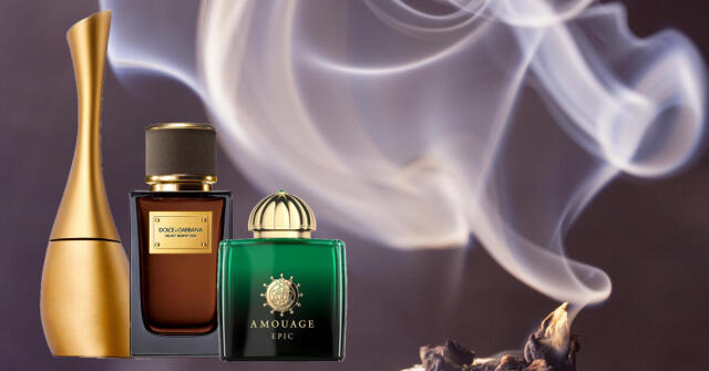 Velvet Desert Oud Dolce&Gabbana perfume - a fragrância