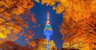 K-Perfume: A Próxima Grande Novidade?