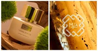 Terre d'Inde de Maison de L'Asie: Diferente de Tudo o Que Você Já Sentiu Antes