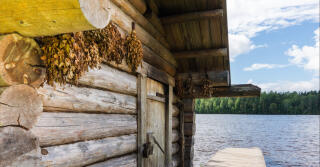 Sauna: Êxtase e Aromas