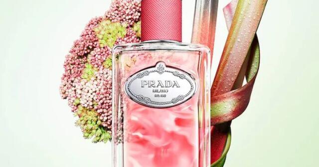 Infusion de Rose Prada perfume - a fragrância Feminino 2011