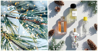 Histórias Perfumadas do Ano (2025): Tom Kolive