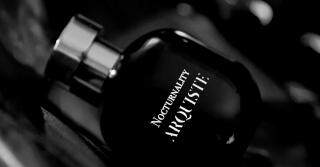 Nocturnality: Arquiste te Deita Delicadamente na Escuridão da Vida Noturna