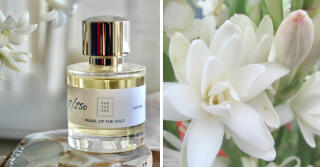 Pearl of the Wild - Parterre