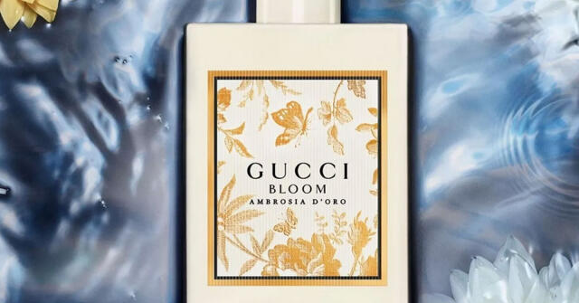 Bloom Ambrosia d'Oro Gucci perfume - a novo fragrância Feminino 2026