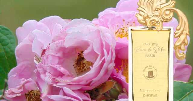 Saba Désert Reine de Saba perfume - a novo fragrância Feminino 2026
