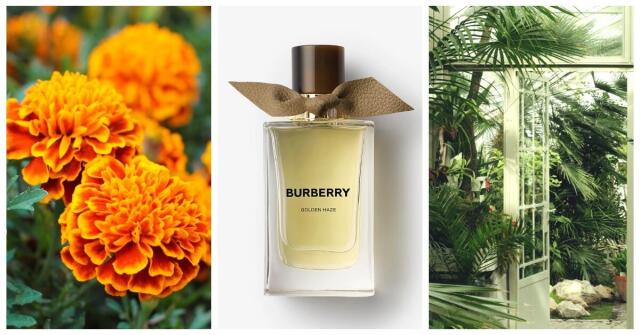 Quelques Fleurs l'Original Houbigant perfume - a fragrância