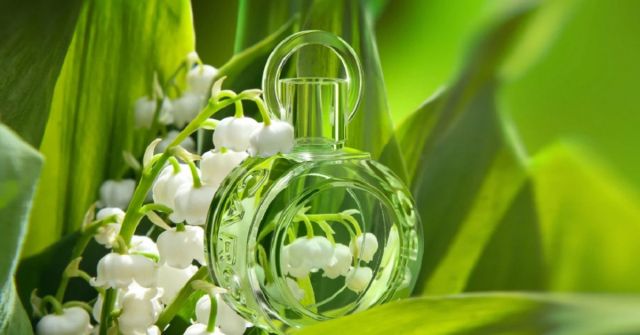 Muguet du Bonheur Caron perfume - a fragrância Feminino 1952