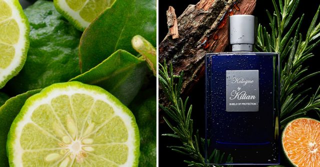 Kologne, Shield of protection By Kilian perfume - a fragrância