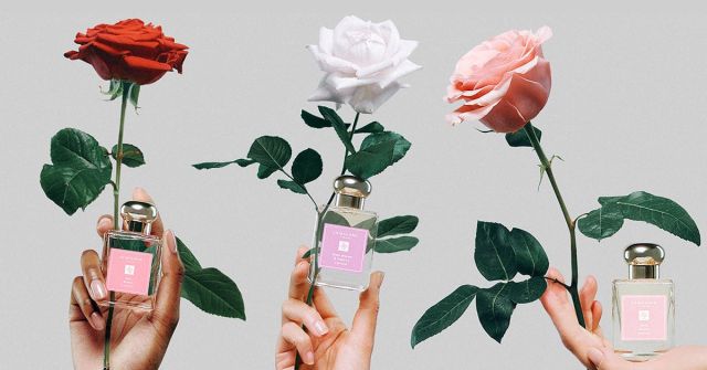 Rose Water & Vanilla Cologne (2023) Jo Malone London perfume - a