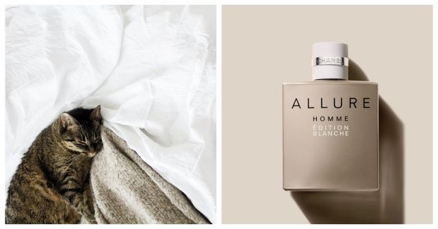 Allure Homme Edition Blanche Chanel Colônia - a fragrância Allure Homme Edition Blanche Chanel Colônia - a fragrância