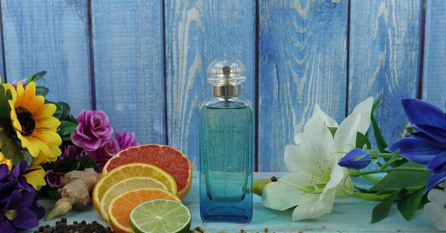 Hermès Un Jardin Après La Mousson: A Euforia do Solo Chuvoso e das