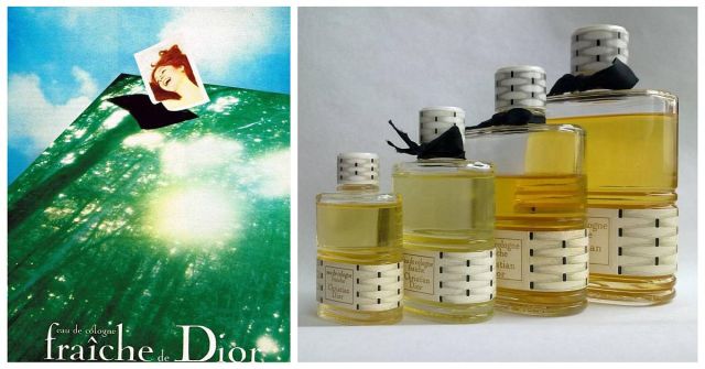 Diorella Dior perfume - a fragrância Feminino 1972
