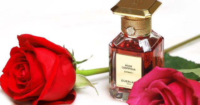 Rose Centifolia Extrait 1 Guerlain perfume - a fragrância