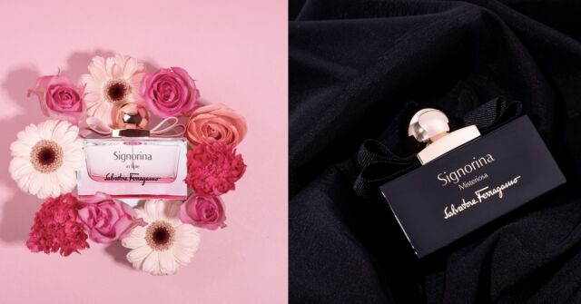 Signorina Misteriosa Salvatore Ferragamo perfume - a fragrância