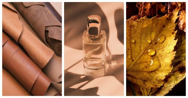 Onda d'Oro Plume Impression perfume - a fragrância Compartilhável 2024