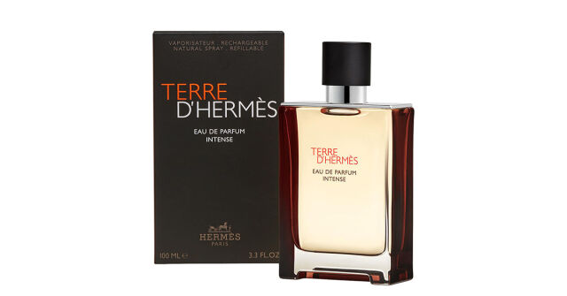 Terre D'Hermes Eau Intense Vetiver Hermès Colônia - a fragrância