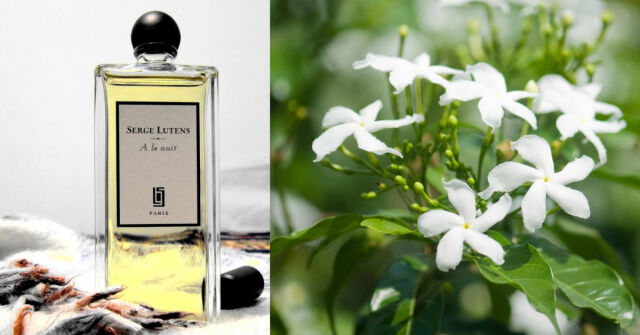 A La Nuit Serge Lutens perfume - a fragrância Compartilhável 2000