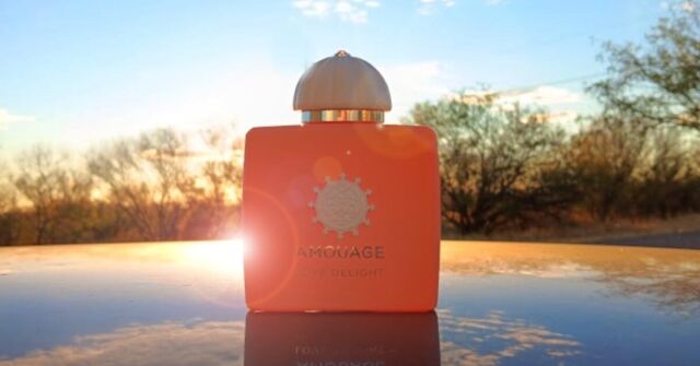 Love Delight Amouage perfume - a fragrância Feminino 2024