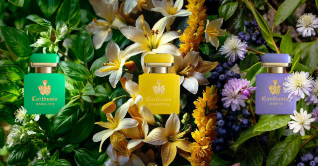 Terra Mia Carthusia perfume - a fragrância Compartilhável 2017