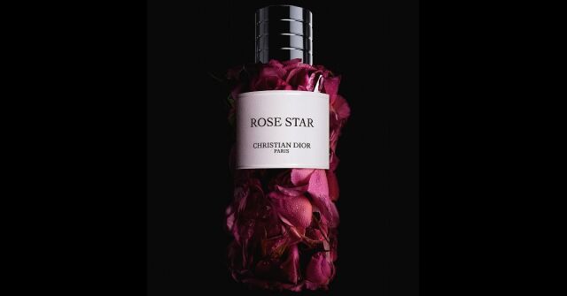 Rose Star Dior perfume - a novo fragrância Compartilhável 2025