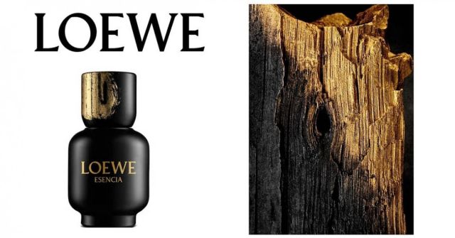 Esencia pour Homme Eau de Parfum Loewe colonie - un parfum de