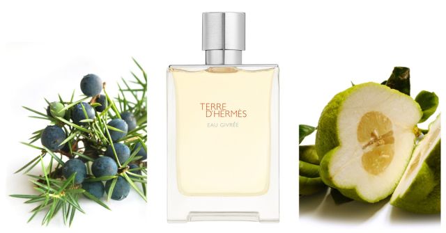 Terre D'Hermes Eau Intense Vetiver Hermès colonie - un parfum de