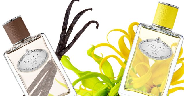 Infusion de Vanille Prada parfum - un parfum unisex 2022