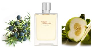 Terre d'Hermès Eau Givrée: и ель сквозь иней зеленеет ~ Обзоры ...