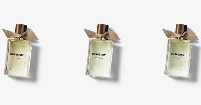 Oud Storm Burberry аромат — аромат для мужчин и женщин 2023