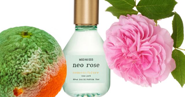 Neo Rose Nomenclature аромат — аромат для мужчин и женщин 2022