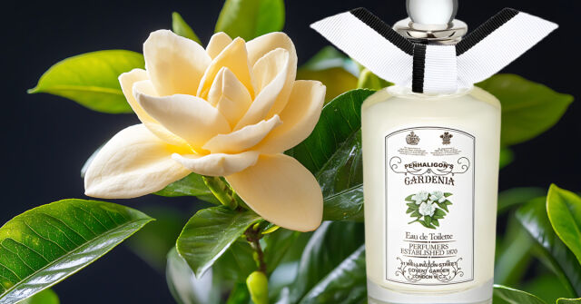 Gardenia Penhaligon's аромат — аромат для женщин 1976