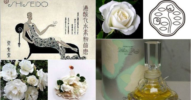 White Rose Natural Shiseido аромат — аромат для женщин 1954
