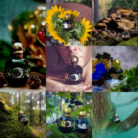 Enchanted Forest The Vagabond Prince (unisex) ~ 2012
