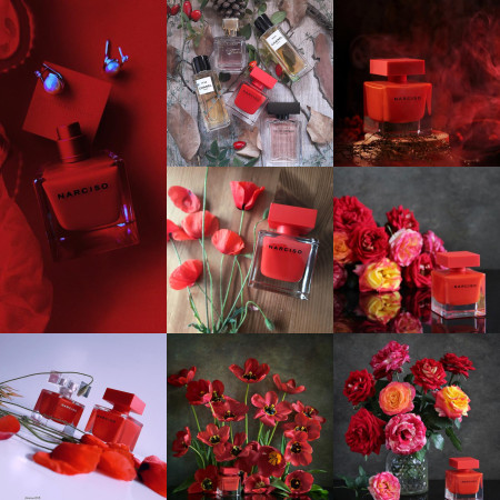 Narciso Rouge Narciso Rodriguez (female) ~ 2018