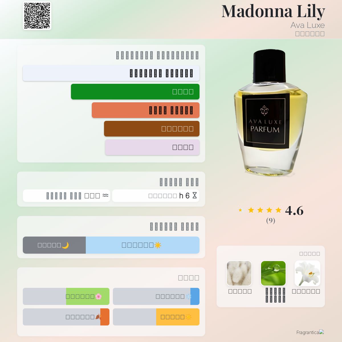 Ava Luxe Madame X Perfume عطر اوا لوکس مادام ایکس Ava Luxe Madame