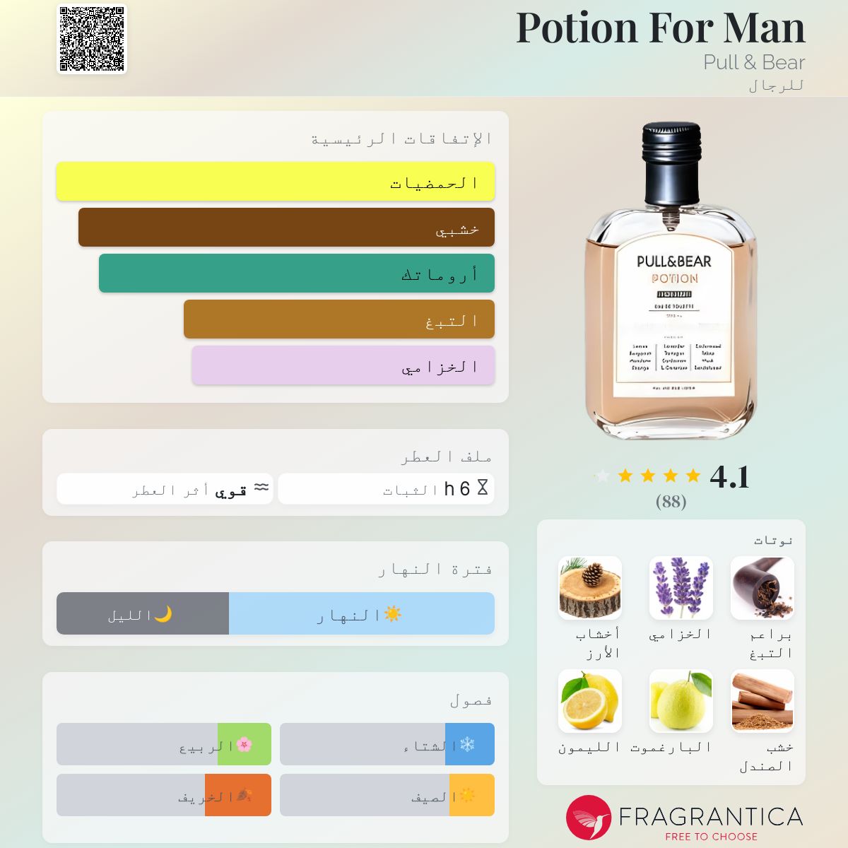 Phyllis Fraiche Pull And Bear Phyllis Perfume Potion For Man Pull