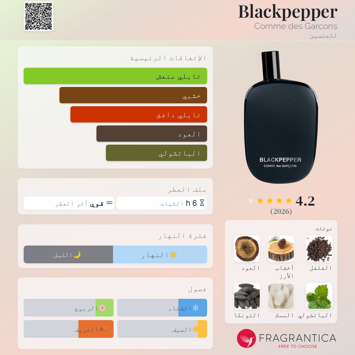 COMME des GARCONS Blackpepper 100ml 香水(ユニセックス) COMME des