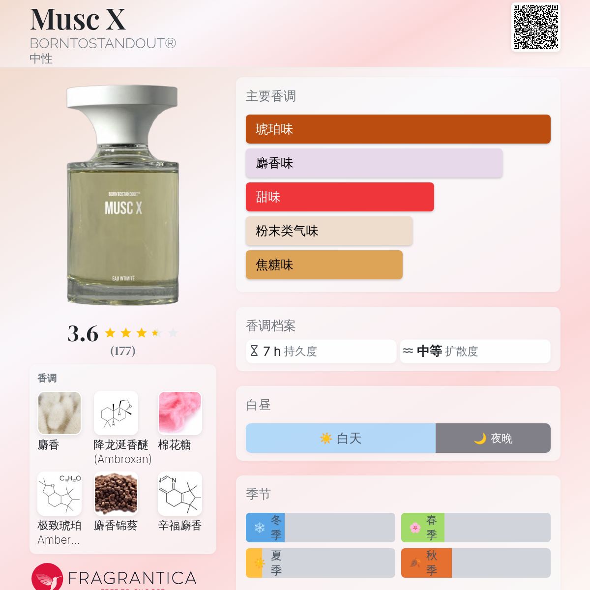 Musc X BORNTOSTANDOUT® 香水- 一款2025年新的中性香水