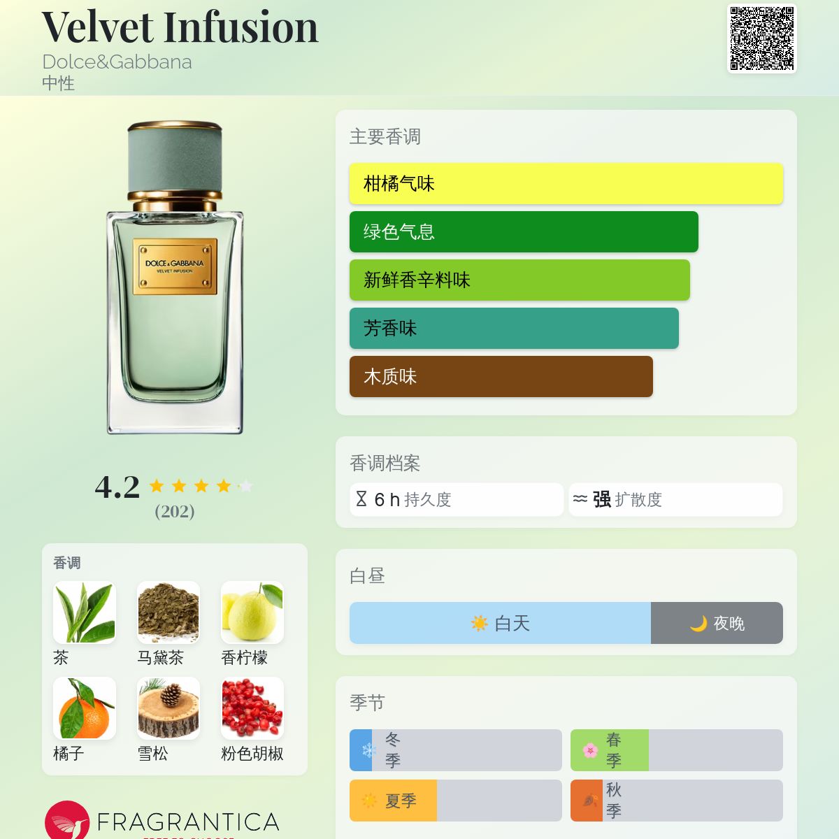 Velvet Infusion Dolce&Gabbana 香水- 一款2024年新的中性香水