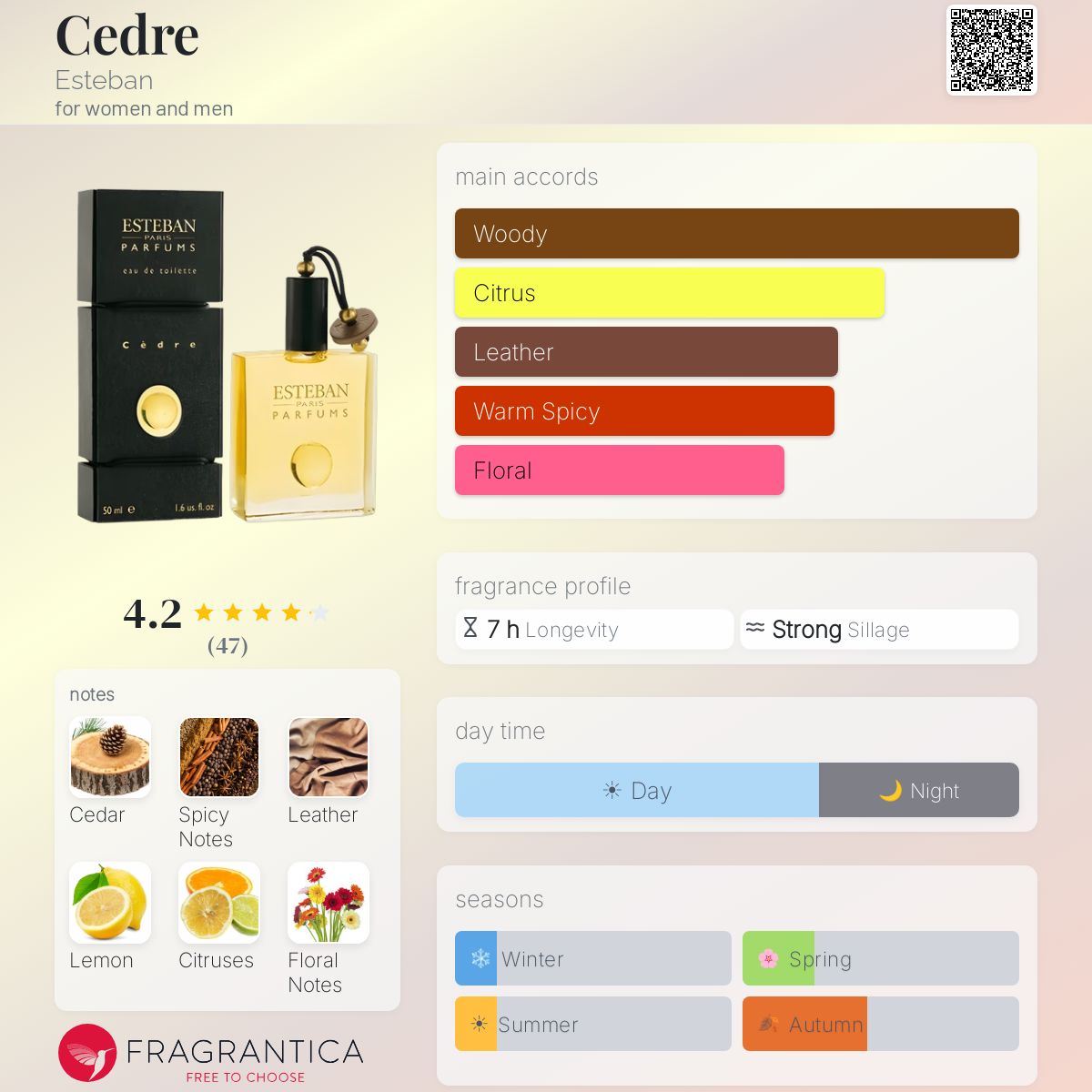 Profile card