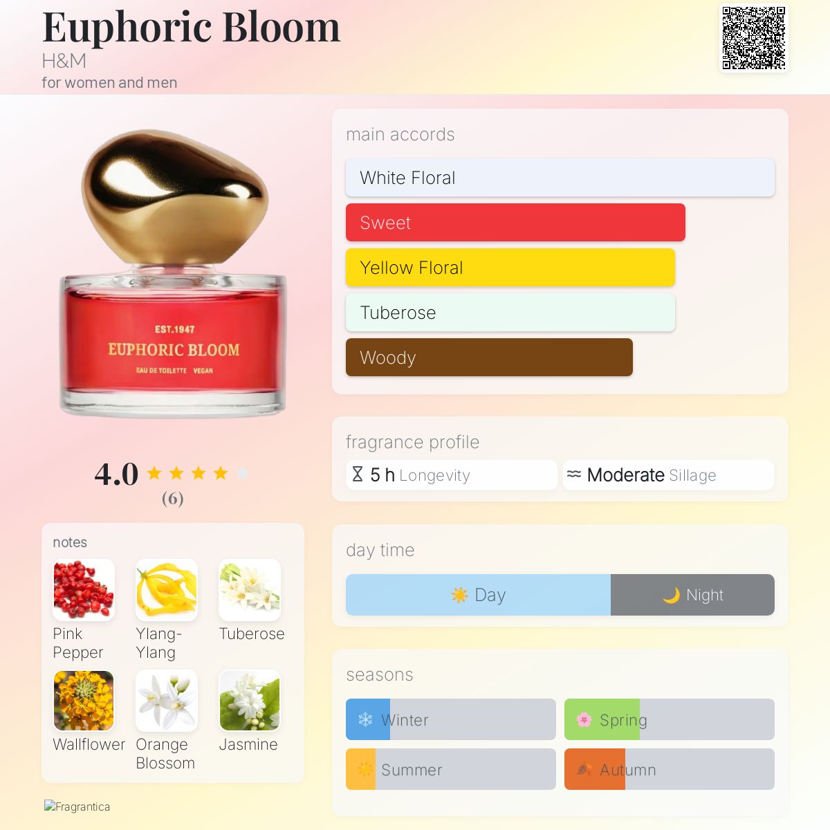 Euphoric Bloom H&amp;M perfume - a new fragrance for women and men 2024