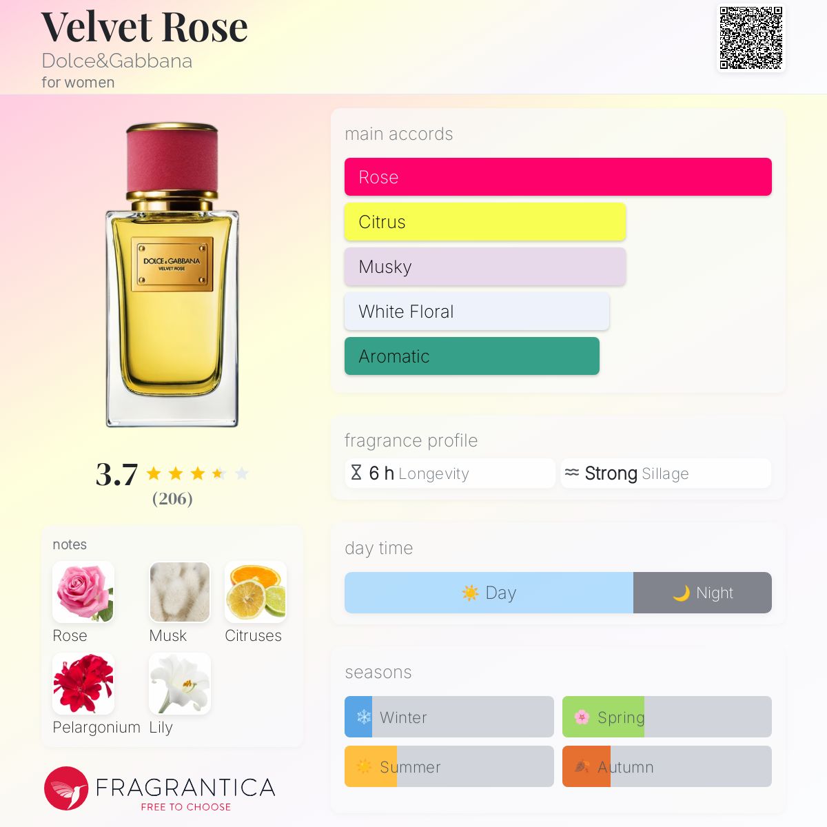 Velvet Rose Dolce&Gabbana perfume - a fragrance for women 2014