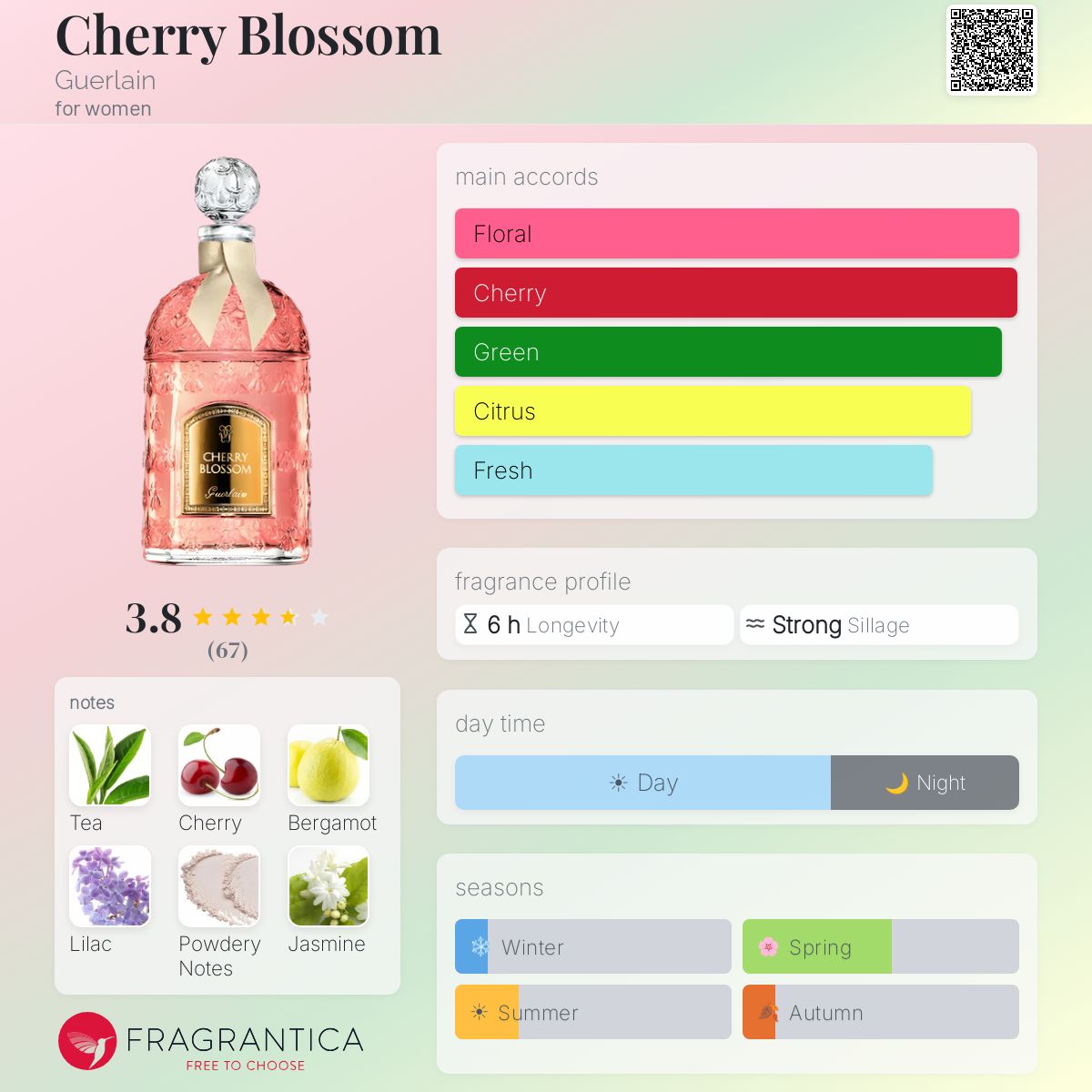 Profile card