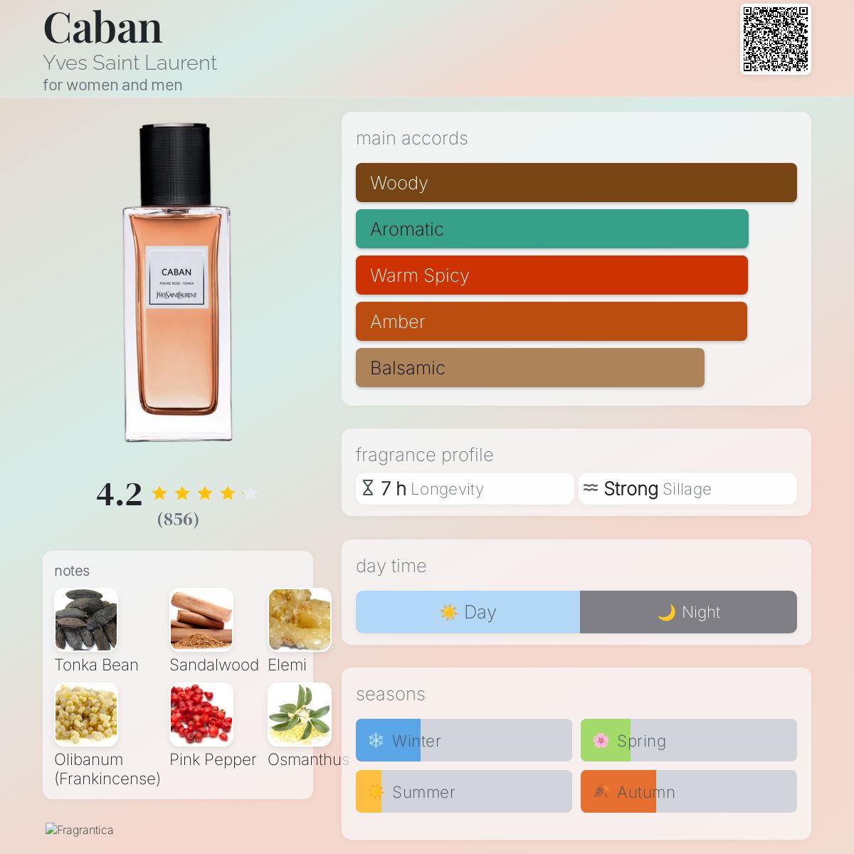 Caban Yves Saint Laurent perfume - a fragrance for women and men 2015