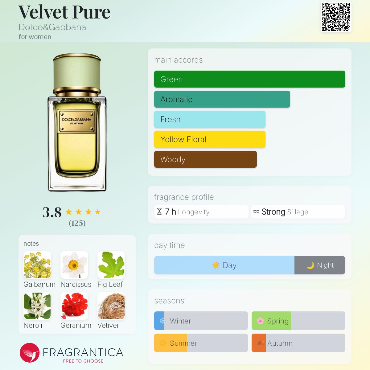 Velvet Pure Dolce&Gabbana perfume - a fragrance for women 2016