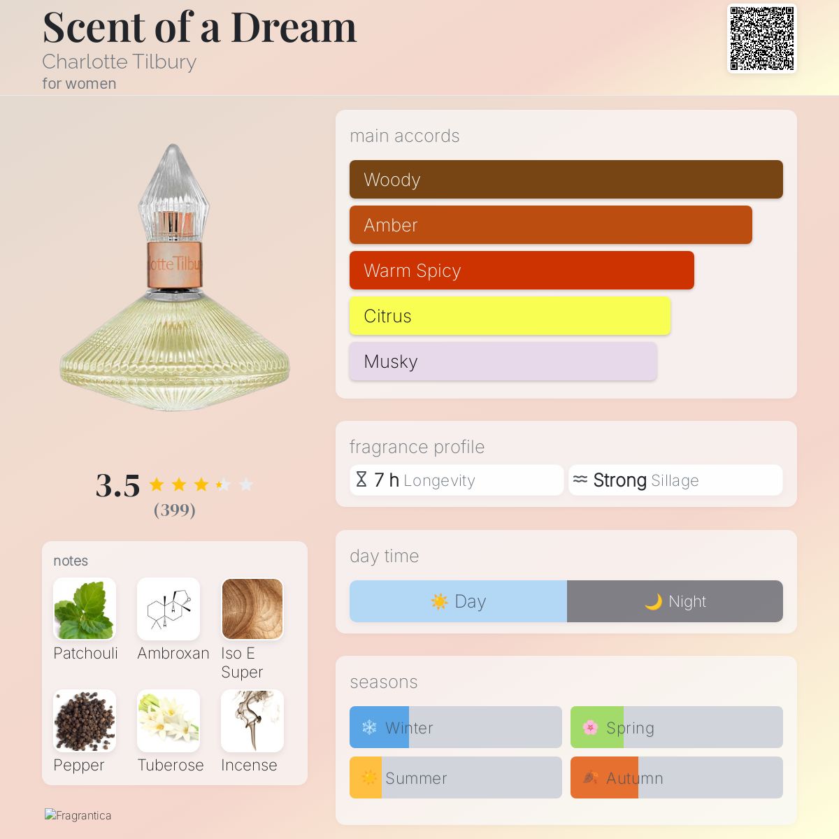 Ancient Egypt: The King's Chief Librarian