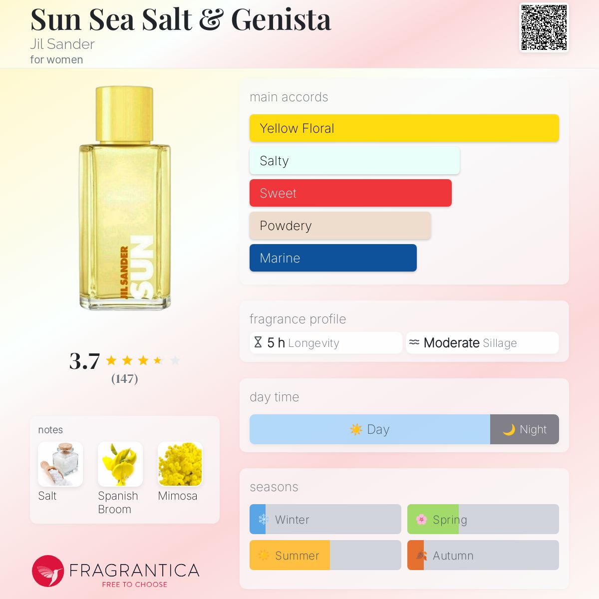 Jil Sander Sun Summer Edition 2021 Review Vetiver Jil Sander Sun