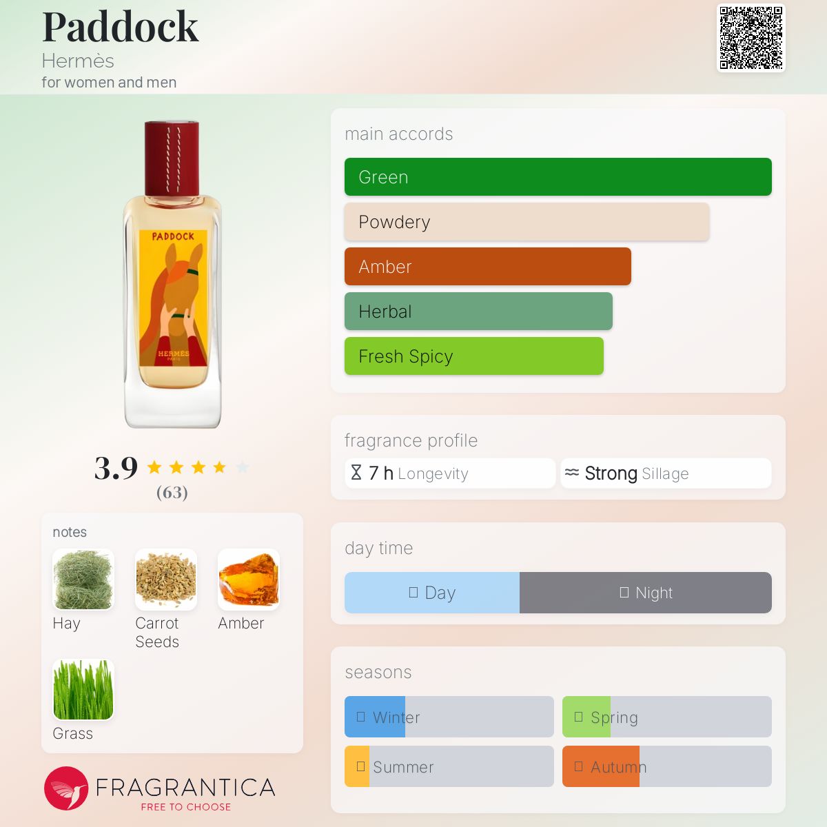 Paddock Hermès perfume - a new fragrance for women and men 2024