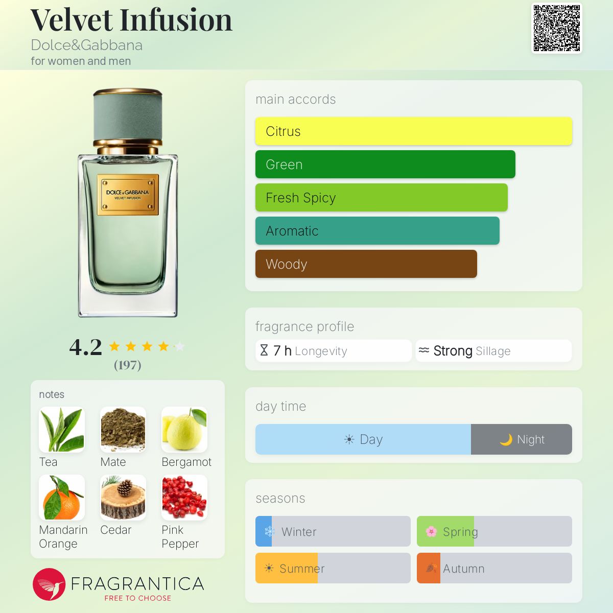 Velvet Infusion Dolce&Gabbana perfume - a new fragrance for women